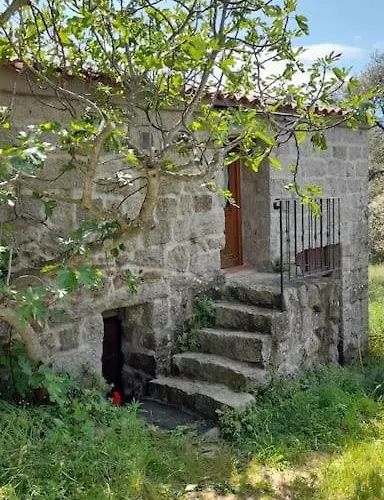 Bergerie En Pierres Et Oliveraie