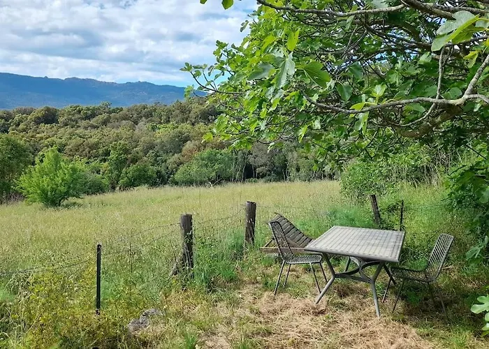 Bergerie En Pierres Et Oliveraie